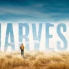 thanksgiving A person walks through golden grass under a bright sky, with "THE HARVEST" prominently displayed, symbolizing faith and community.