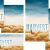 thanksgiving A person walks through golden grass under a blue sky, with the words "THE HARVEST" emphasizing themes of faith and community.