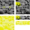 each one, reach one Yellow sheep stands out among gray flock, symbolizing community outreach and individual faith in "each one, reach one."