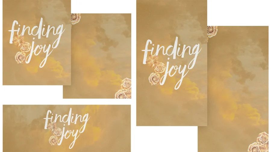 Finding Joy - Image 3
