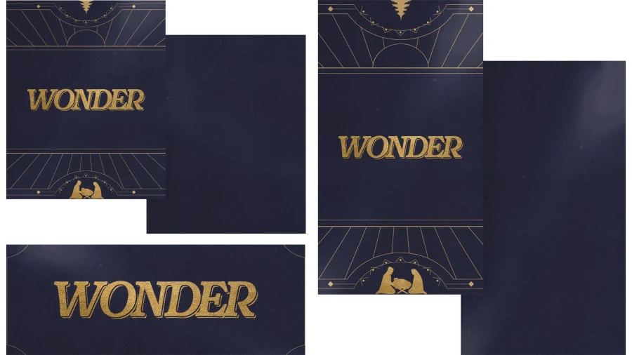 Wonder - Image 3