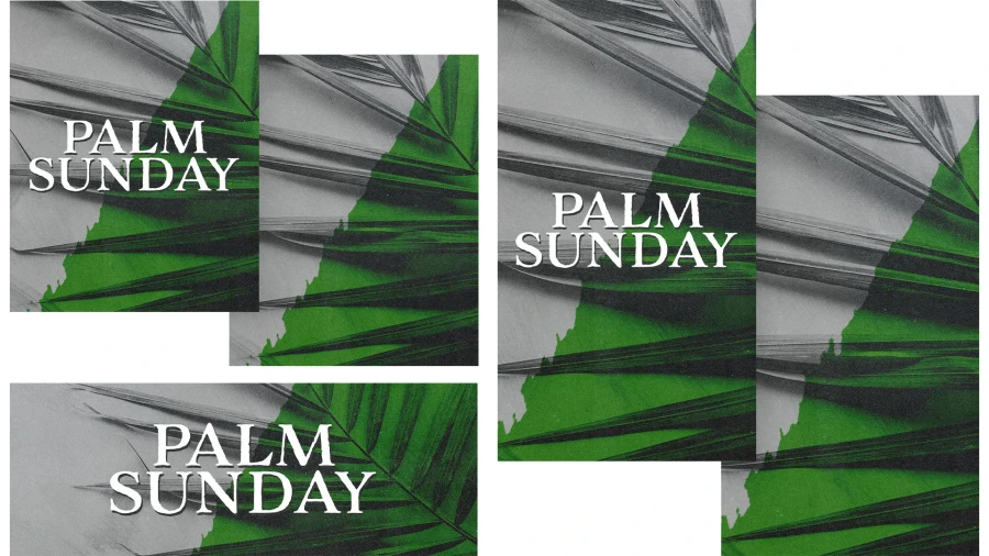 Palm Sunday - Image 3