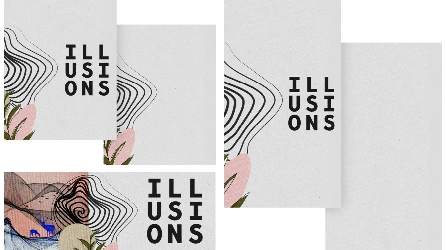 Illusions - Image 3