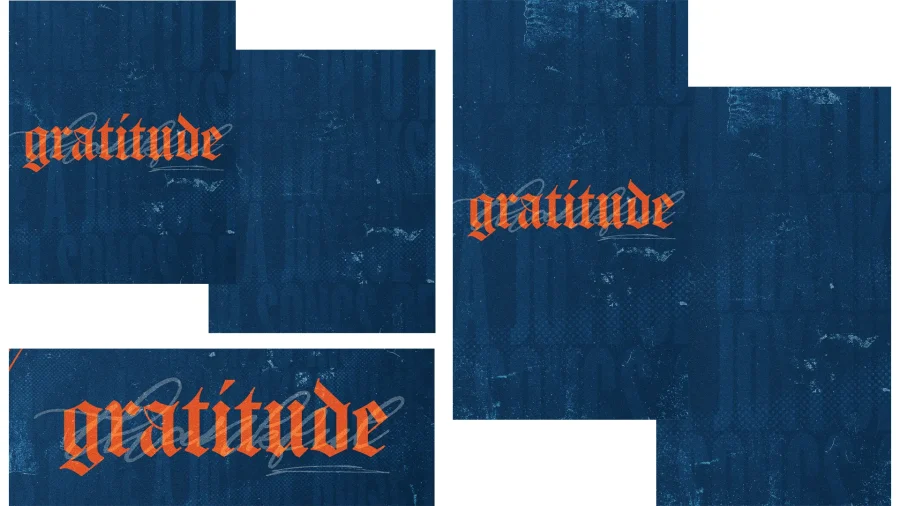 Gratitude - Image 3
