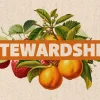 7220 - Stewardship - HD Title Slide "Stewardship" text over fruit and leaves, symbolizing growth and responsibility in faith and community.