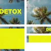 7229 - Detox - Screen Graphics Palm trees under a blue sky with text "DETOX: Eliminating Relational Toxins That Mess You Up" in yellow.