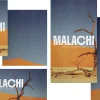 7331 - Malachi Social Graphics Desert landscape with barren trees and bold text "Malachi: Confronting Complacency," symbolizing spiritual awakening and reflection.