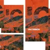 7674 uncommon social graphics Bold text "UNCOMMON" overlays vibrant orange and textured mountain imagery, symbolizing faith and community in worship.