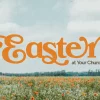 7764 easter hd title slide Easter celebration text over a vibrant field of orange flowers, symbolizing renewal and community in faith.