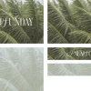 7774 palm sunday screen graphics Palm leaves with elegant text reading "Palm Sunday," symbolizing worship and celebration in the Christian faith.