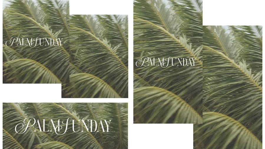 7774 palm sunday social graphics Green palm fronds with elegant text "Palm Sunday," symbolizing celebration and faith in the Christian tradition.