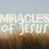 7850 miracles of jesus hd title slide Text reads "Miracles of Jesus" over a serene backdrop of tall grass against a soft sky, evoking faith and spiritual reflection.