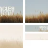 7850 miracles of jesus screen graphics Text reads "Miracles of Jesus" over a serene landscape of tall grass, symbolizing faith and divine presence.