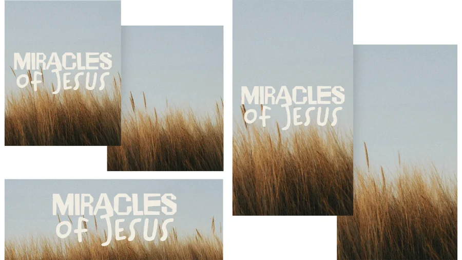 7850 miracles of jesus social graphics "Text reads 'Miracles of Jesus' over a serene background of tall grass, symbolizing faith and divine wonder."