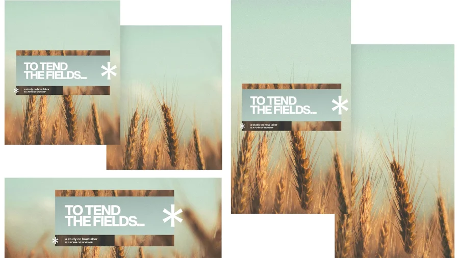 7979 to tend the fields social graphics Golden wheat fields with text emphasizing labor as a form of worship, highlighting faith and community service.
