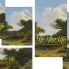 8092 life after life social graphics Serene landscape with vibrant text "Life After Life" exploring faith and the afterlife, inviting reflection and community discussion.