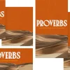 8113 proverbs social graphics "Proverbs: Life principles illustrated with warm tones and desert imagery, emphasizing wisdom and faith in everyday life."