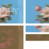 8260 worthy screen graphics "Worthy Women's Conference" text overlay on a pastel blue background with floral accents, symbolizing community and faith.