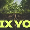 8357 fix you hd title slide New growth emerges from deep roots, symbolizing faith and spiritual foundation, with a biblical verse from Colossians.