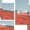 8503 bloom social graphics Vibrant red flowers bloom under a clear sky, promoting a "Night of Purpose" for community and spiritual growth.