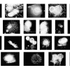 Fireworks - Preview 2 Fireworks B&W Overlays - Image 3
