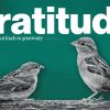 Gratitude-HD-Title-Slide-1.jpg Gratitude