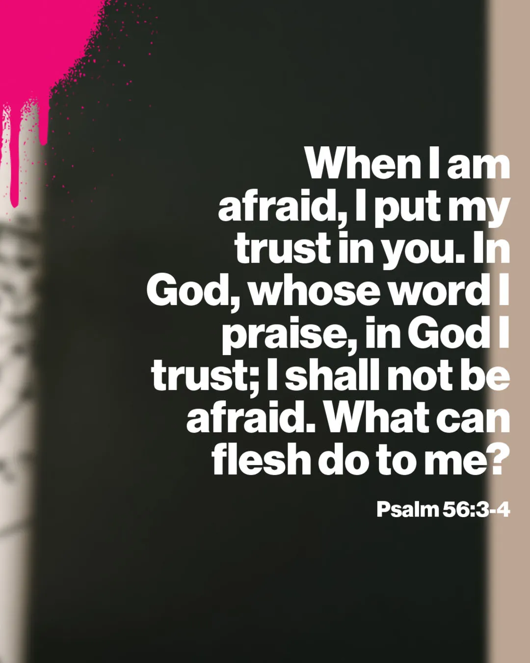 Bold church media graphic featuring Psalm 56:3-4 "When I am afraid, I put my trust in you. In God, whose word I praise, in God I trust; I shall not be afraid. What can flesh do to me?" on a dark background with striking pink accent and modern white typography.