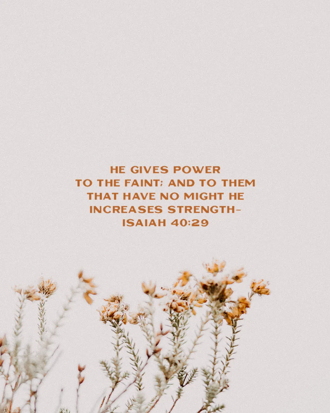 Minimal church media template featuring Isaiah 40:29 "He gives power to the faint" with delicate wildflowers against cream background