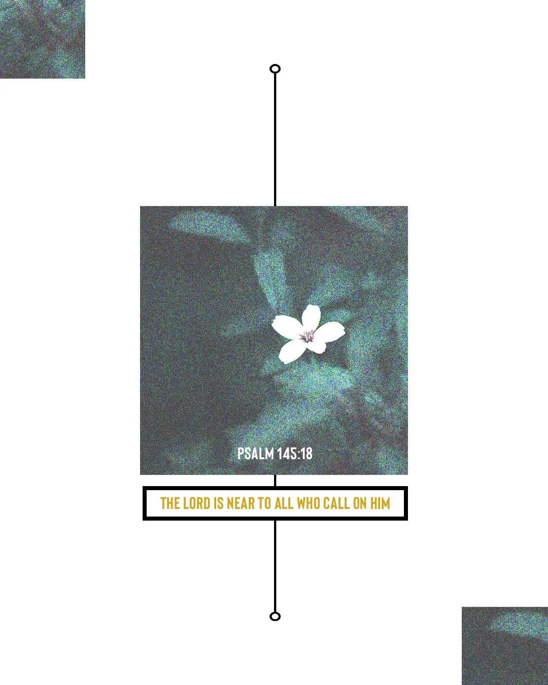 Minimalist church media design featuring Psalm 145:18 "The Lord is near to all who call on him" with single white flower against textured dark background and simple linear elements