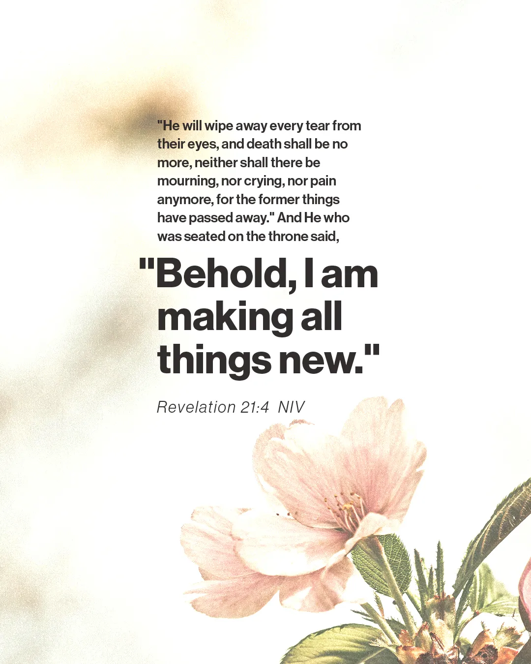 "Behold, I am making all things new" from Revelation 21:4, with soft floral imagery symbolizing renewal.