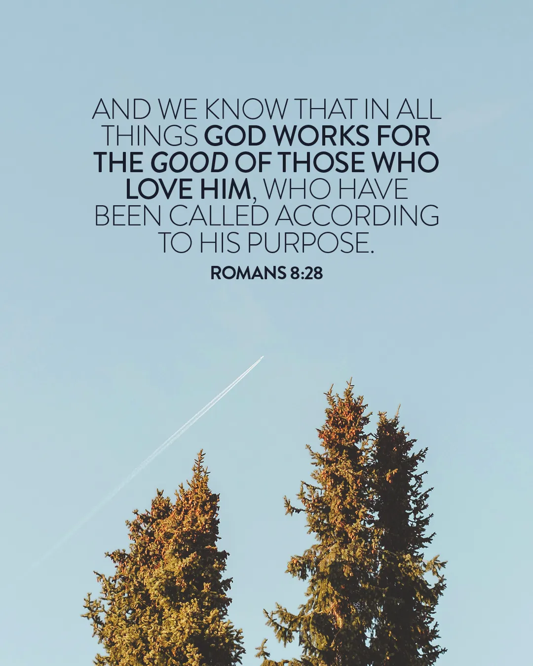 God's purpose in all things; Romans 8:28 inspires faith and community under a clear sky with towering trees.