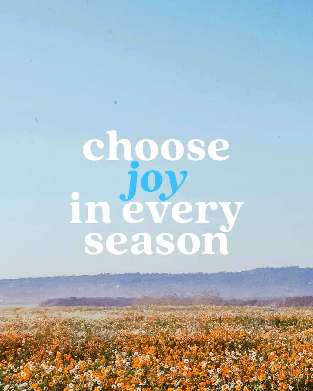 "Colorful wildflower field under a clear sky with the uplifting message: 'Choose joy in every season.'"