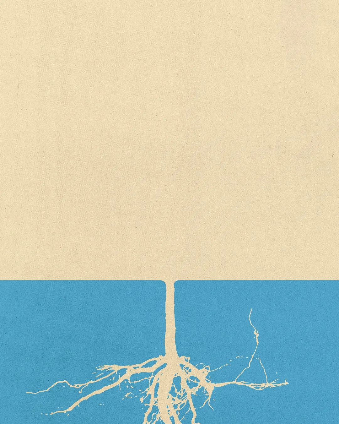 Roots extend into blue, symbolizing faith, community, and spiritual growth in the church.