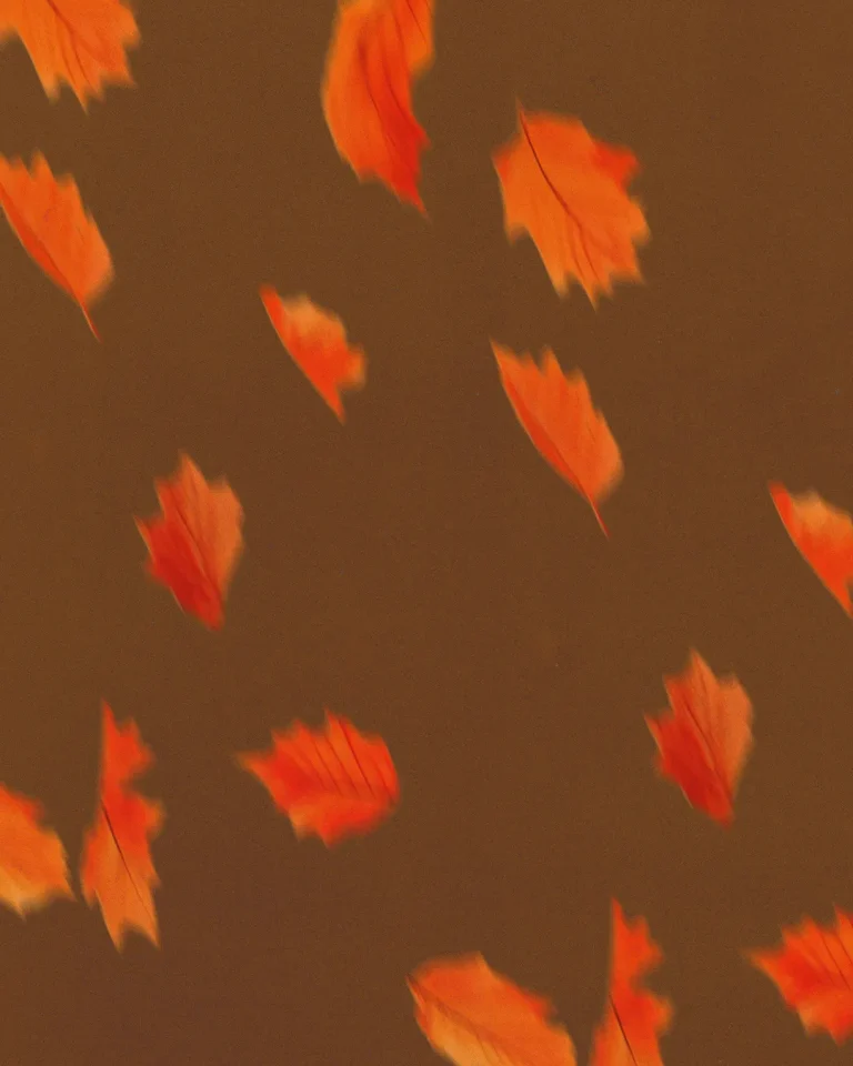 Falling orange leaves on a warm background, symbolizing change, renewal, and the beauty of God's creation.