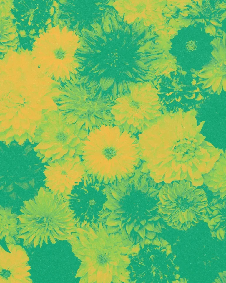 Vibrant flowers in yellow and green symbolize new life and growth, reflecting faith and community in worship.