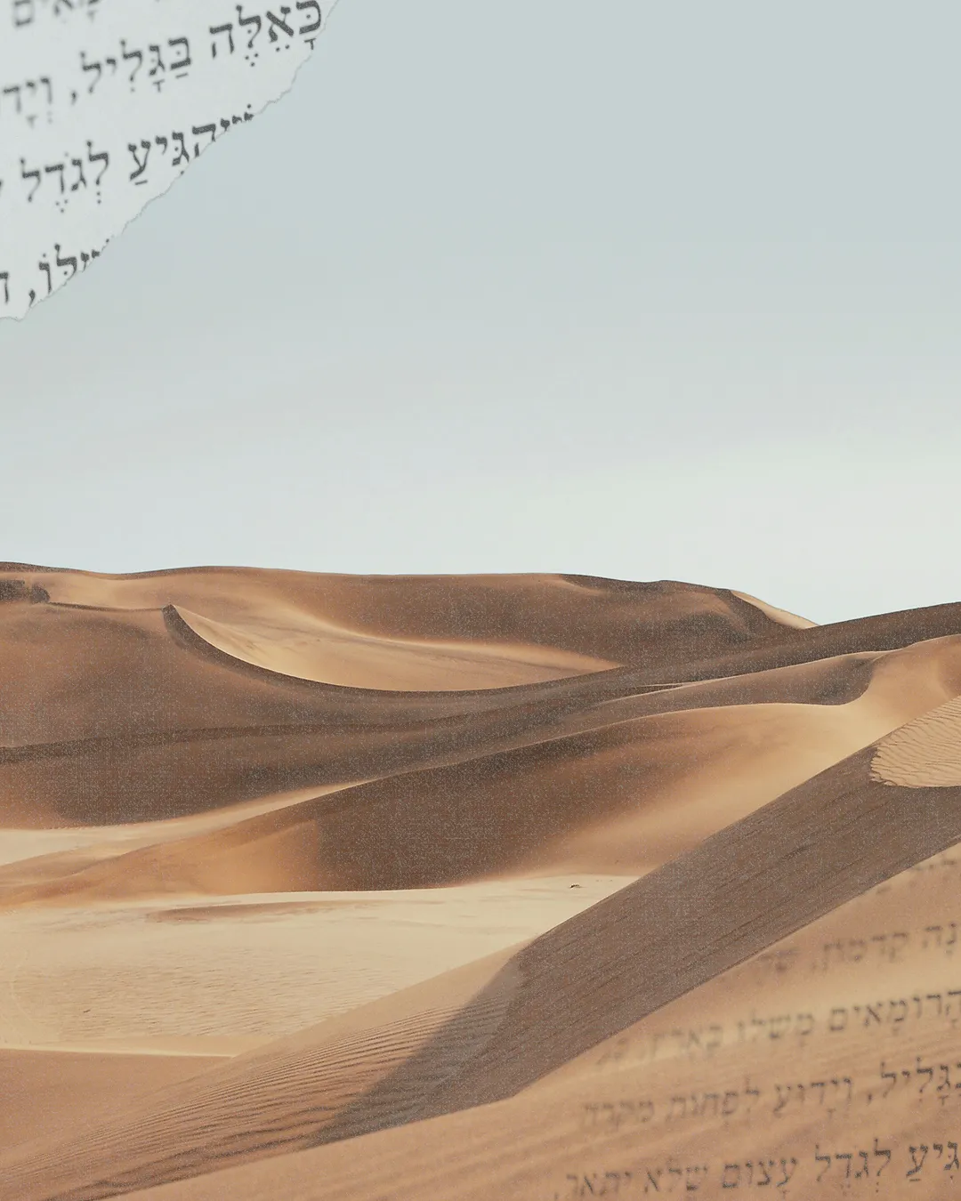 Desert landscape with gentle dunes, overlaid with Hebrew text, symbolizing faith, journey, and spiritual reflection.