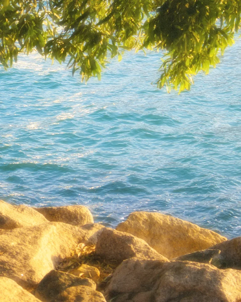 Gentle waves lapping against sunlit rocks, framed by lush green leaves, evoking peace and tranquility in nature.