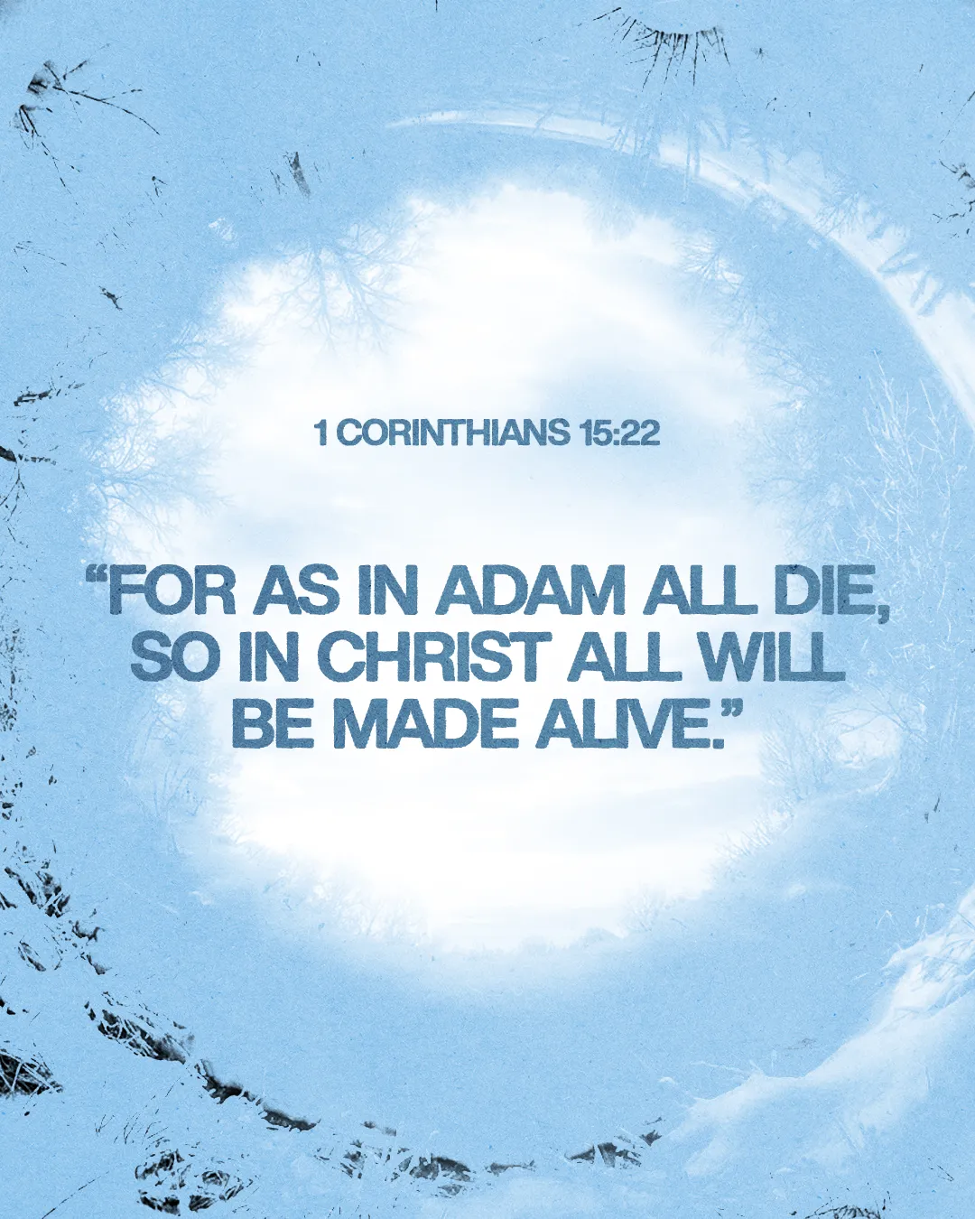 "Scripture from 1 Corinthians 15:22 emphasizes resurrection and new life in Christ amidst a serene winter landscape."