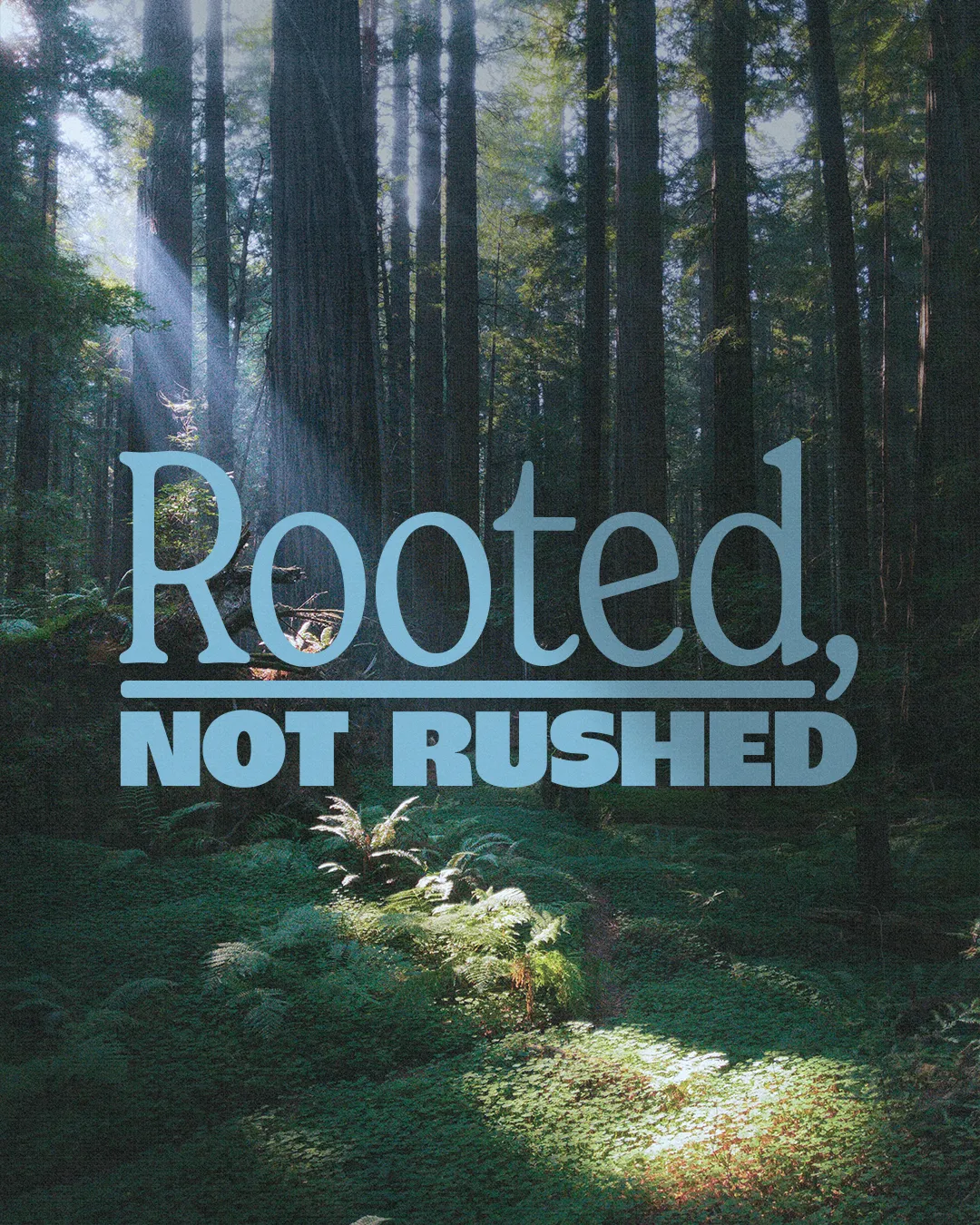 Sunlight streams through tall trees onto lush greenery, emphasizing the theme "Rooted, Not Rushed" for spiritual growth.