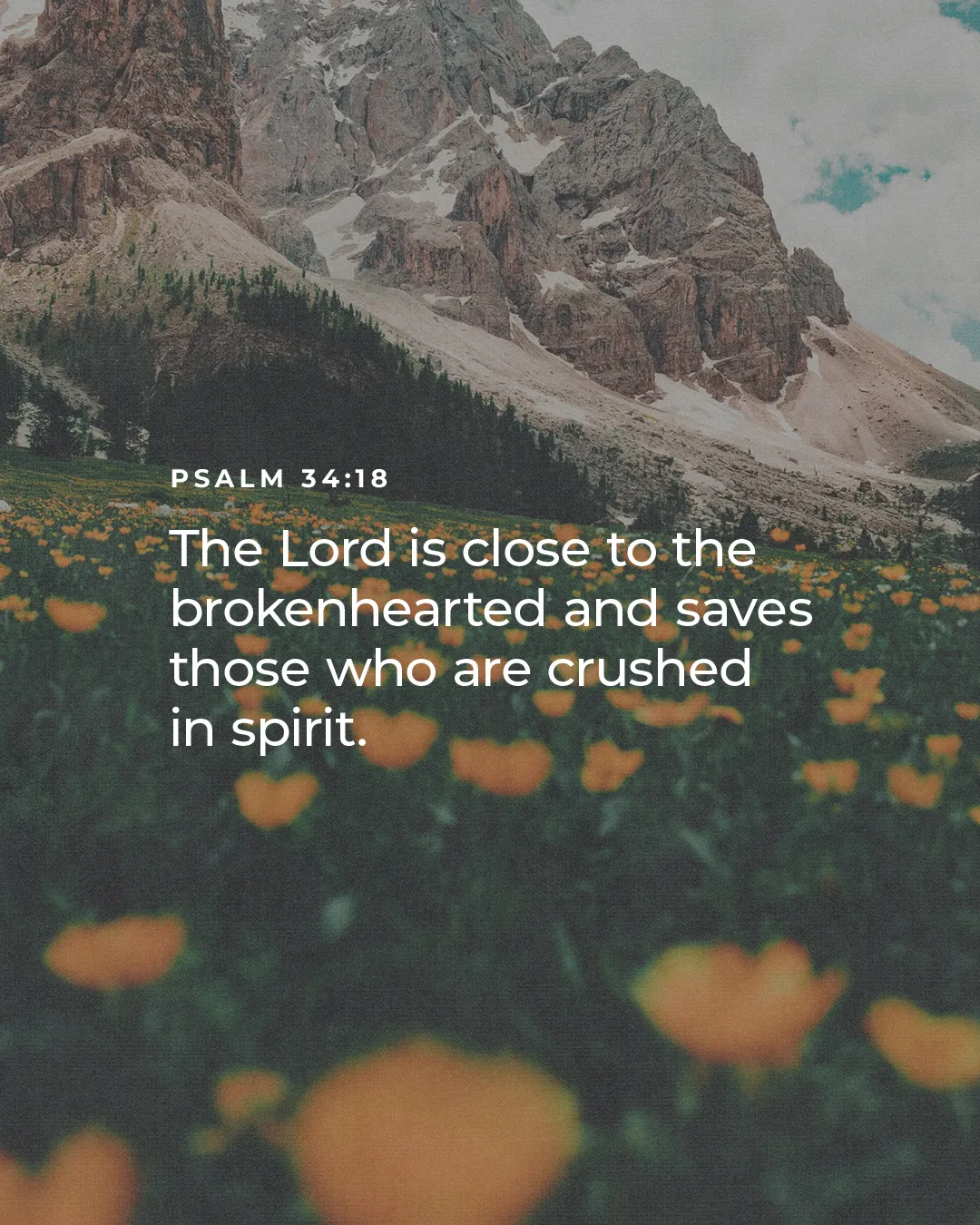 Mountains rise above a field of vibrant flowers, with Psalm 34:18 offering comfort and hope for the brokenhearted.