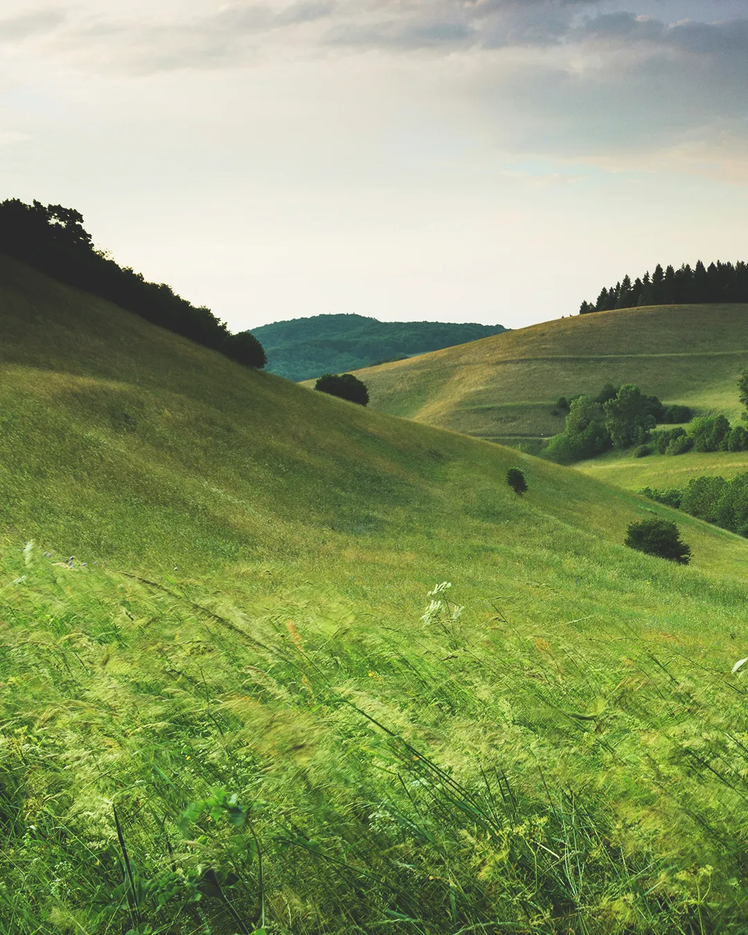Lush green hills under a cloudy sky, symbolizing God's creation and the beauty of nature in worship and reflection.