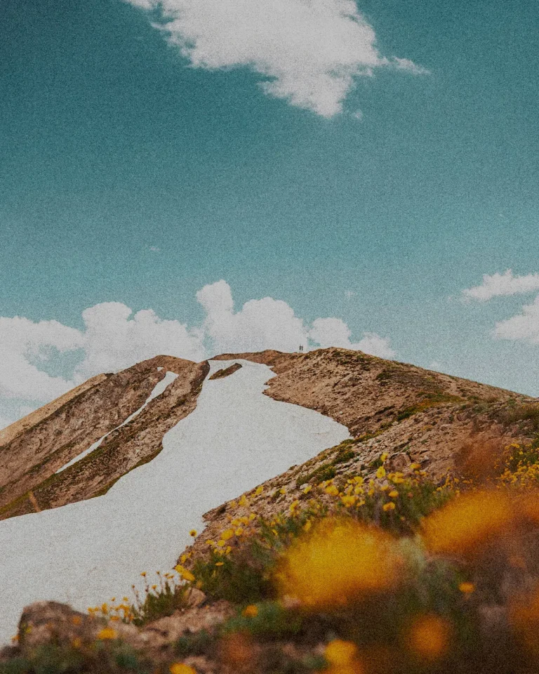 Majestic mountain landscape with vibrant flowers, symbolizing God’s creation and the beauty of faith and community.