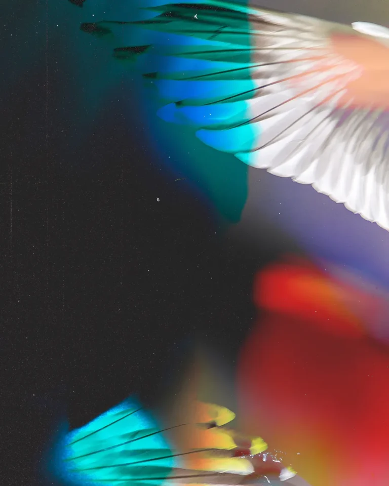 Colorful abstract wings symbolize spiritual elevation and divine presence, reflecting themes of faith and community.