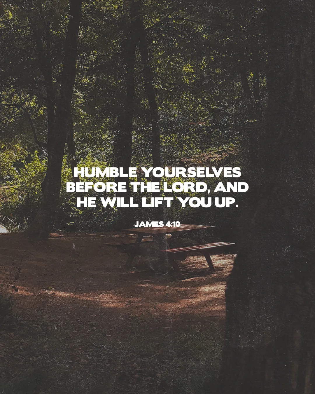 Serene forest scene with a picnic table, featuring the scripture: "Humble yourselves before the Lord" - James 4:10.