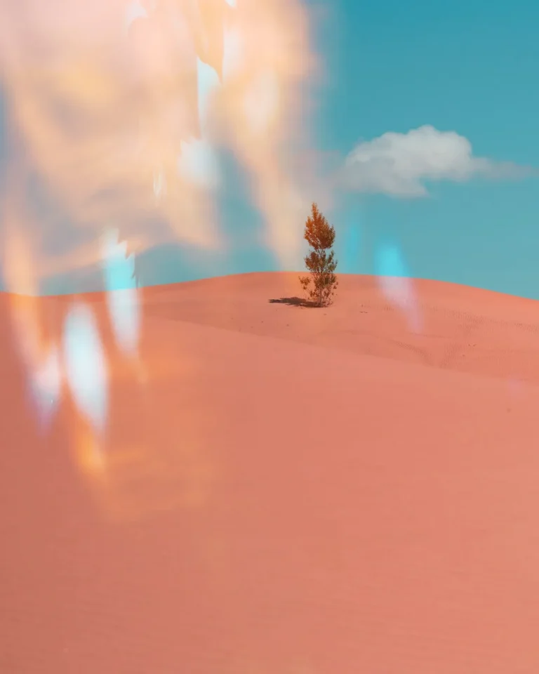 Lone tree stands resilient in a vast desert, symbolizing faith and hope amidst challenges and barren landscapes.